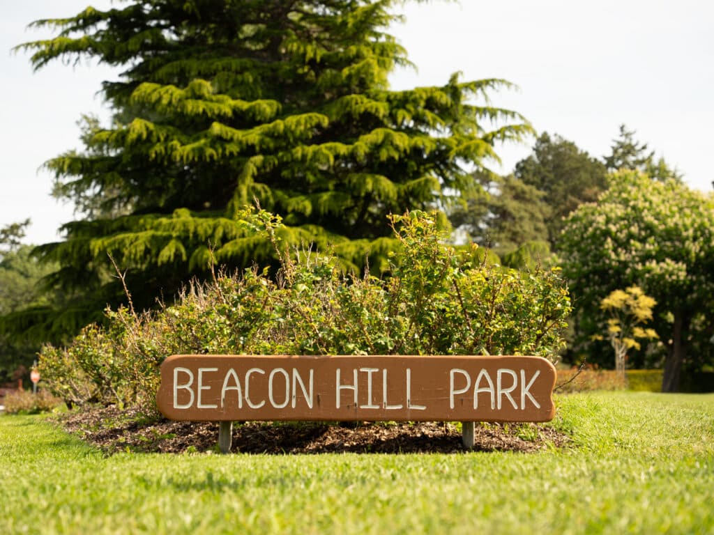 Welcome to Beacon Hill Park in Victoria, BC, Canada.