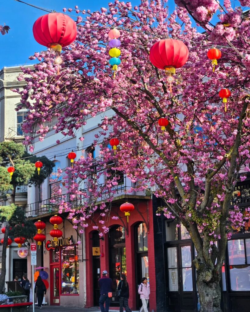 Photo credit: @chinatownyyj on Instagram